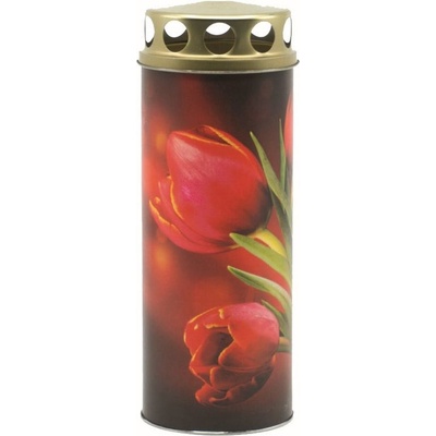 TORO Náhrobná tulipán 195 g