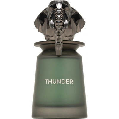 French Avenue Thunder parfumovaná voda pánska 100 ml