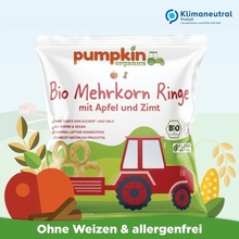 PUMPKIN ORGANICS Vícezrnné kroužky s jablkem a skořicí BIO 20 g