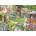 House of Puzzles - Puzzle Bloomin' Lovely - 1 000 piese