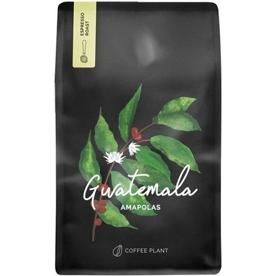Coffee Plant Guatemala Maková semínka zrnková 250 g