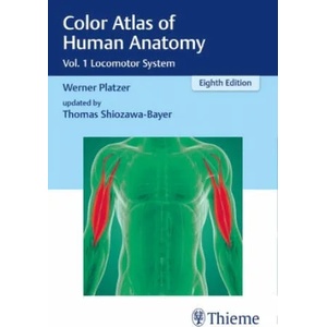 Color Atlas of Human Anatomy | Thomas Shiozawa-Bayer (ISBN: 9783132424432)