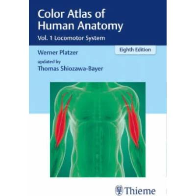 Color Atlas of Human Anatomy | Thomas Shiozawa-Bayer
