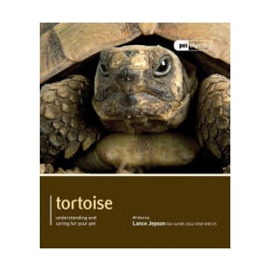 Tortoise - Pet Expert | Lance Jepson (2011)