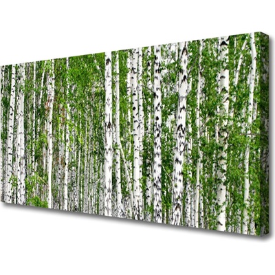 Obraz na plátně Bříza Les Stromy Příroda 100x50 cm