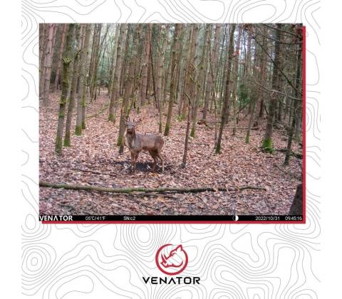Venator BST880
