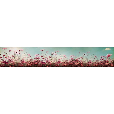Dimex KI350-126 Fototapeta za linku Spring Field rozměry 350 x 60 cm