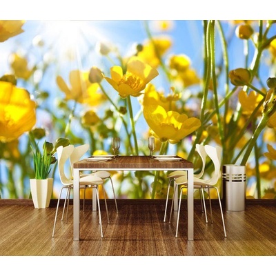 Dimex XL-199 vliesová fototapeta na zeď Yellow flovers rozměry 330 x 220 cm