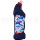 Domestos Total Hygiene Ocean fresh dezinfekčný WC gél 700 ml