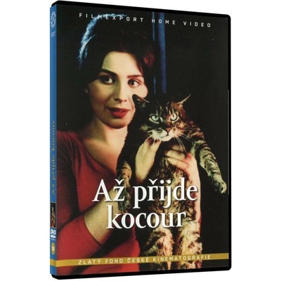 Až přijde kocour DVD