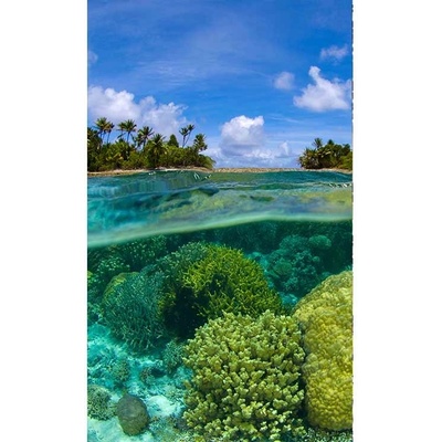 Dimex MS-2-0200 vliesová fototapeta rozměry 150 x 250 cm