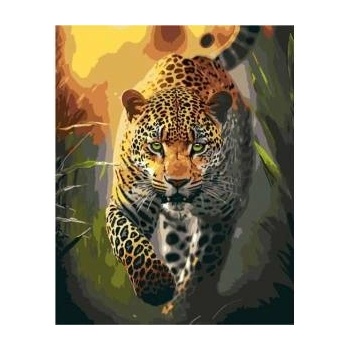 Qbee Paint by numbers - Predators Grace 40x50