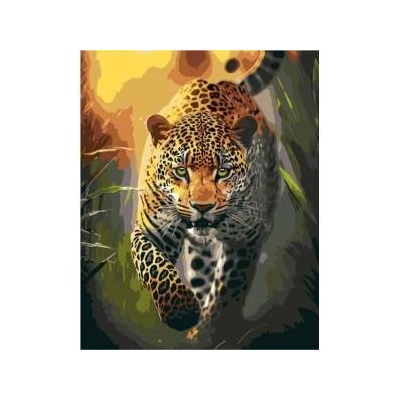 Qbee Paint by numbers - Predators Grace 40x50