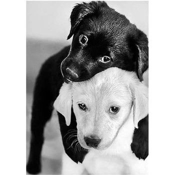 Collection D'Art Collection D`art - Диамантен гоблен - Черно и бяло кученца (DE453)