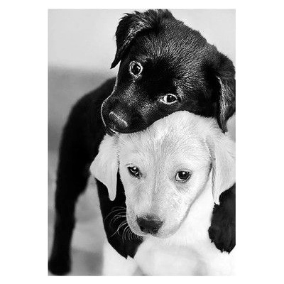 Collection D'Art Collection D`art - Диамантен гоблен - Черно и бяло кученца (DE453)