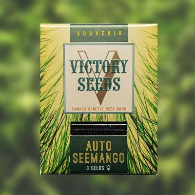 Victory Seeds AUTO Seemango semena neobsahují THC 10 ks