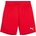 PUMA Teamgoal shorts 152