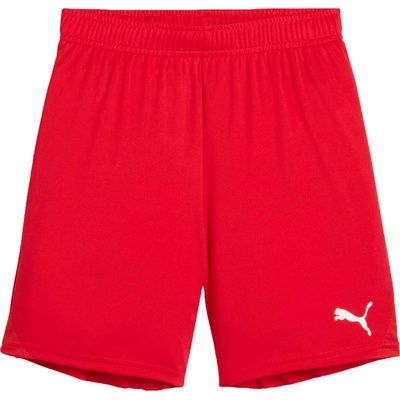 PUMA Teamgoal shorts 152