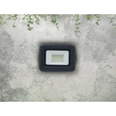 Nedes LF0021