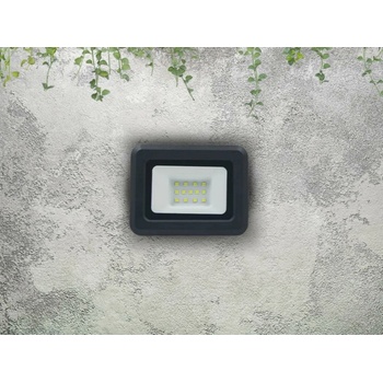 Nedes LF0021