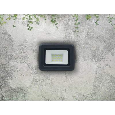 Nedes LF0021