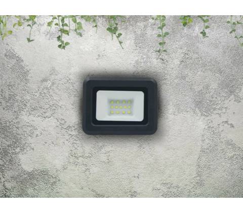 Nedes LF0021