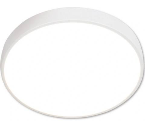 Top Light 1563
