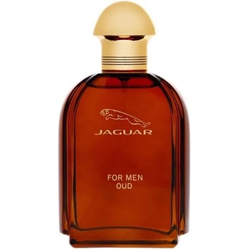 Jaguar Oud for Men EDP 100 ml