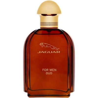 Jaguar Oud for Men EDP 100 ml