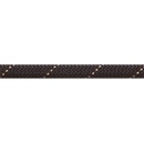 Beal Raider 11 mm 50m