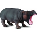 Atlas C - Hroch obojživelný 12 cm