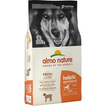 Almo Nature Holistic DRY DOG Large Adult Lamb and Rice 12 kg