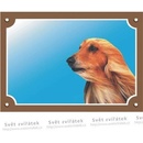 Dafiko Tabulka Zlatý retriever