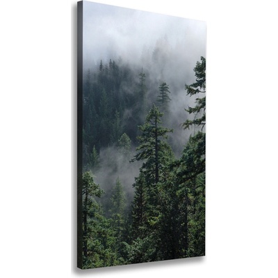 Vertikálny foto obraz na plátne Hmla nad lesom 50x100 cm