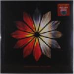 Archetypes Collide - Archetypes Collide (Limited Edition) (LP) (0888072493728)