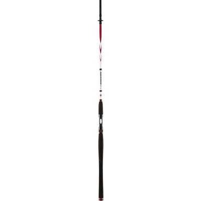 Penn Squadron II SW Spin 2,4 m 50-100 g 2 díly