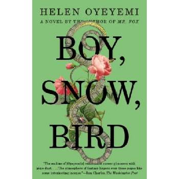 Boy, Snow, Bird