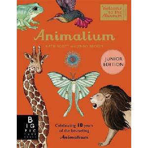 Animalium (Junior Edition) | Jenny Broom (ISBN: 9781800783706)