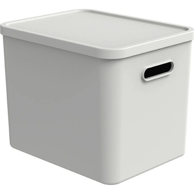 Rotho Úložný box, rovný s vekom, 27 l matne biela Albu light 37 x 29 x 30 cm