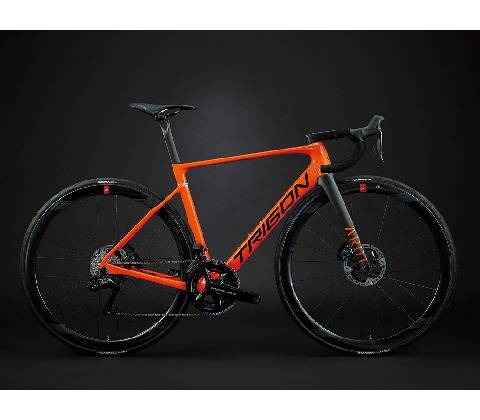 Trigon AR01Speed 2025