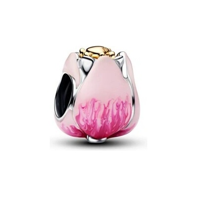 Pandora 764352C01