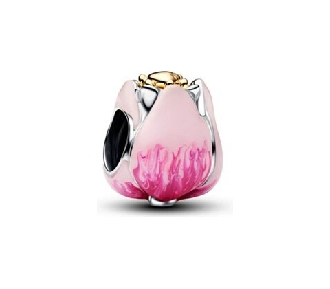 Pandora 764352C01