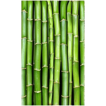 DIMEX ART s. r. o Флизелинов фототапет бамбук 150 x 250 см