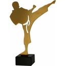 Soška KARATE