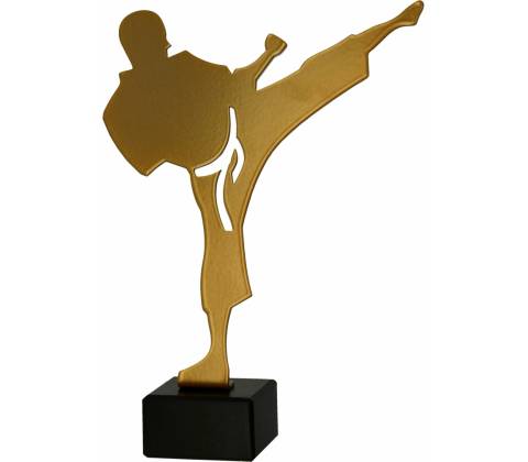 Soška KARATE