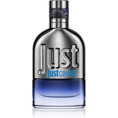 Roberto Cavalli Just Cavalli pánská 2013 toaletní voda pánská 30 ml