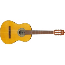 Ibanez GA2-OAM