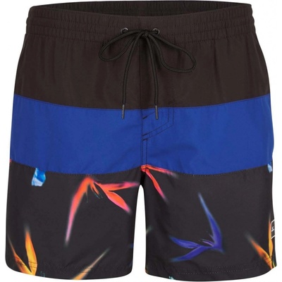 O'Neill pánské kraťasy FRAME BLOCK SHORTS N2800006-25016 , modré