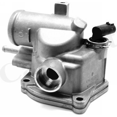 Termostat, chladivo CALORSTAT by Vernet TH6846.87J (TH684687J)