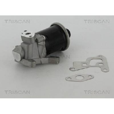 AGR - Ventil TRISCAN 8813 29100